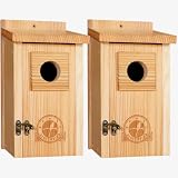 SISTERBIRD 2 Pack Blue Bird Houses