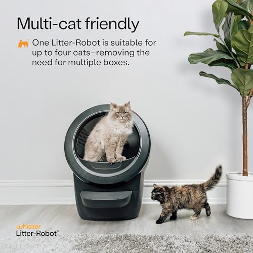 Litter-Robot 4 Supply & Accessory Bundle by Whisker, Black- Automatic Self-Cleaning Cat Litter Box, Includes Litter-Robot 4, Ramp, Mat, 3 OdorTrap Packs, 10 Liners, 30 Wipes, & 2 Carbon Filters