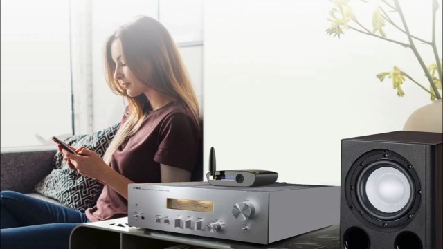 Lavaudio HiFi ldac Bluetooth レシーバー DS200Pro