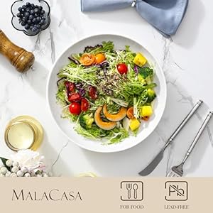 Malacasa10largepastabowls56ozwhitesaladbowlssoupbowlsporcelainservingbowlssetof4largekitchenbowlplatespastaplatesmicrowavedishwashersafeseriesregular Urban Country Home Decor Malacasa 10 large pasta bowls 56 oz white salad bowls soup bowls porcelain serving bowls set of 4 large kitchen bowl plates pasta plates microwave dishwasher safe series regular urban country home decor