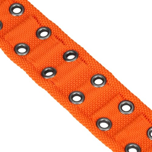 Carhartt Pet Voll Verstellbares breites Gurtband-Halsband für Hunde, strapazierfähiges Nylon zum Spazierengehen und Training, Blaze Orange, Größe M
