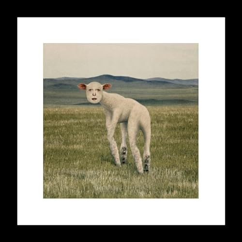 THORNAPPLE ANIMAL 2nd Mini Album CD+Booklet+Tracking Sealed