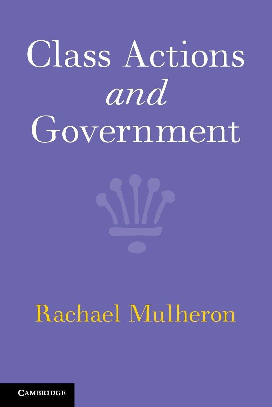 Class Actions and Government