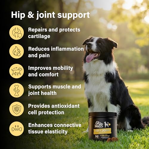 GOMUTTS Hip & Joint Care for Dogs (120 Soft Chews), Dog Hip and Joint Supplement with Glucosamine, Chondroitin & MSM - Supports Joint Health & Mobility for All Dog Breeds - Image 3