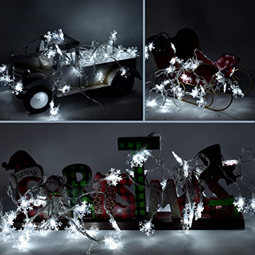 Luces Navidad Copo de Nieve LED 50 Bombillas 7.6 m miniatura 3
