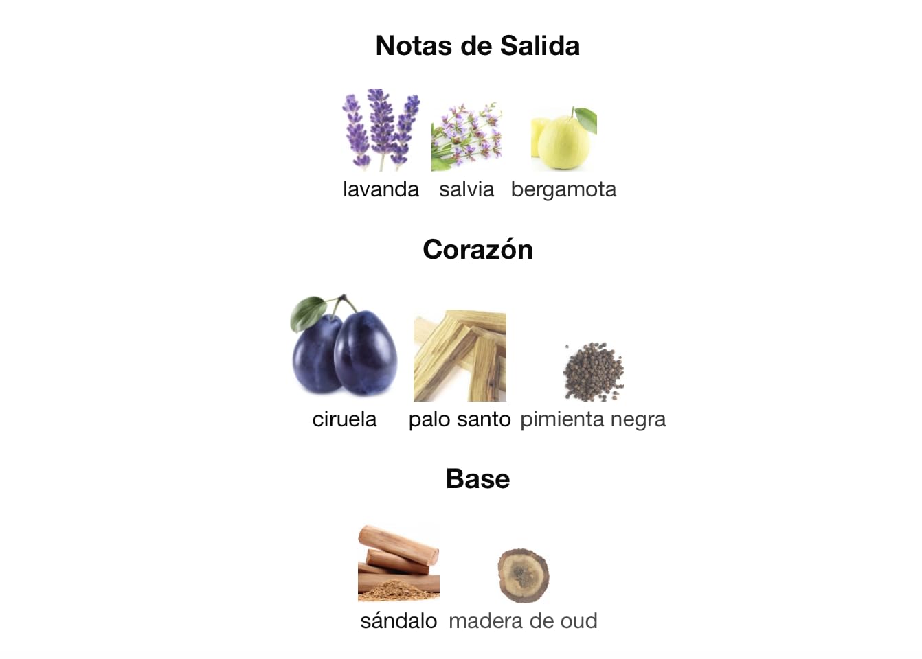 Perfume Vintage Radio Eau de Parfum 100ml, Perfume Árabe Unisex de Larga Duración, Incluye Atomizador Recargable 5ML, Fragancia con Aromas Cítricos Amaderados con Toque Especiado (Vintage Radio)