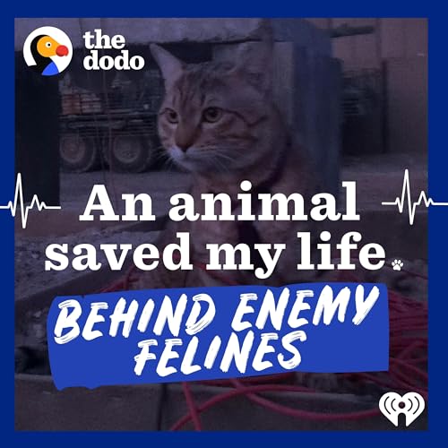『Behind Enemy Felines』のカバーアート