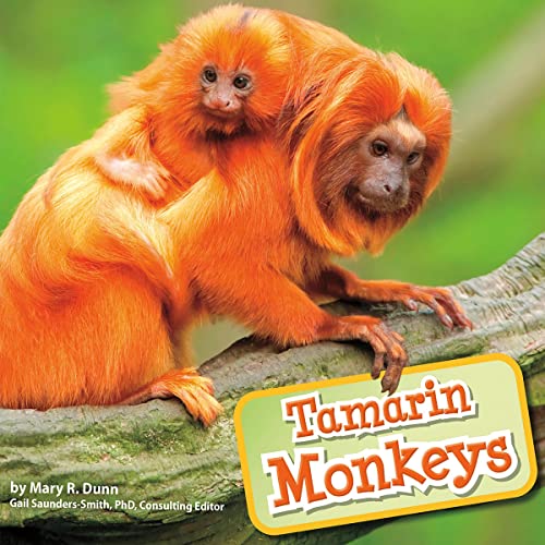 Tamarin Monkeys by Gail Saunders-Smith, Mary R. Dunn episode artwork