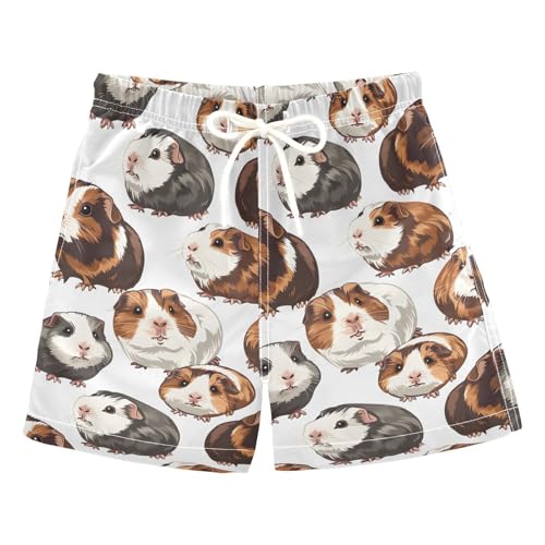 Funny Guinea Pig Boys Swim Trunks Toddler Shorts Swimwear Boardshorts