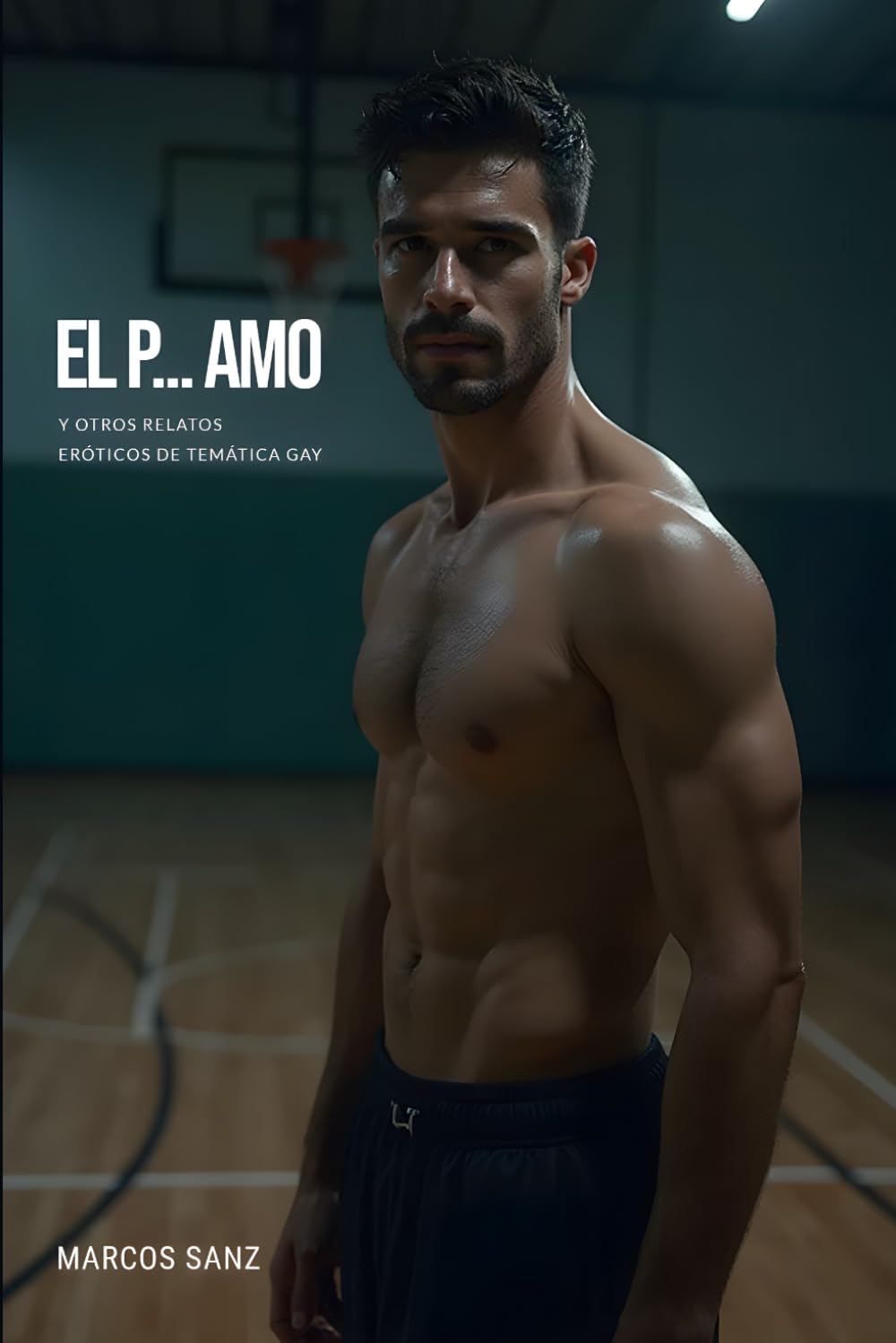 El p... amo: Y otros relatos eróticos de temática gay