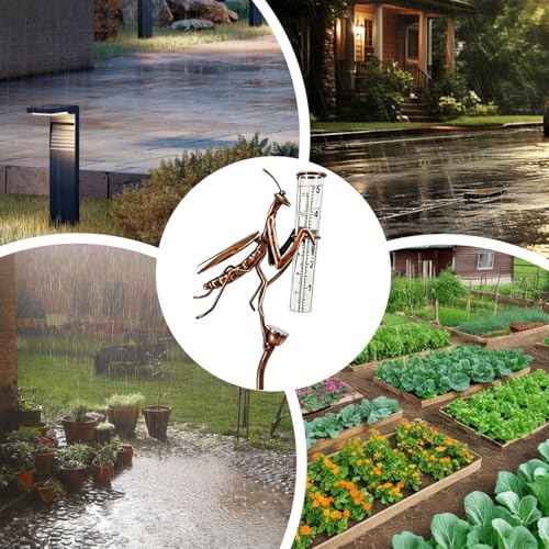 Indicateur LED de mesure d'eau pour suivre les précipitations sans sortir - 6