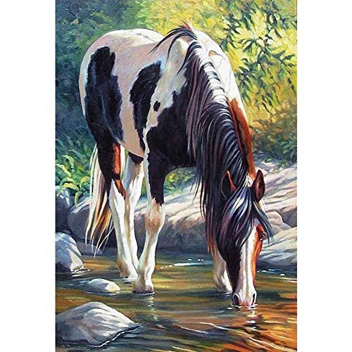 DIY 5D Diamond Painting Kits for Adults, Full Drill Embroidery Pictures Arts Crafts