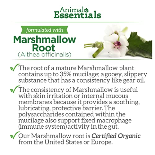 Animal Essentials Tinkle Tonic Herbal Formula For Healthy Urinary Tract In Dogs & Cats, 2 Fl Oz - Made In The Usa, Alcohol Free #TOP7