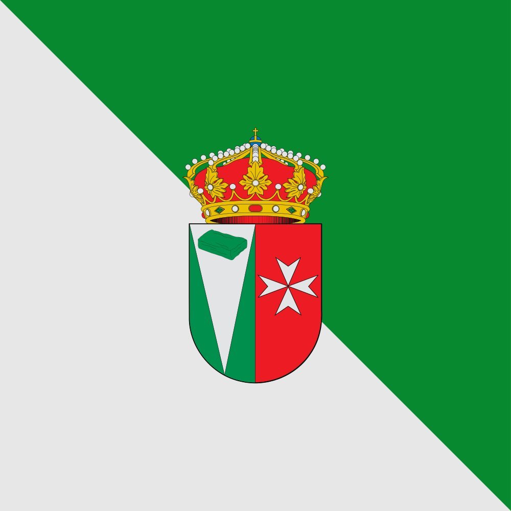 Drapeau Large Valdelosa héraldique avec bande tronchada de plata y sinople