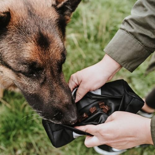 HUNTER Trainer Snack Dummy, Trainings-Dummy zum Apportieren lernen, befüllbar mit Snacks, zahnfreundlich & gepolstert, mit Reißverschluss, maschinenwaschbar, Farbe: grau, Größe: 25 cm