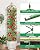 MYMULIKE 2 Pack Garden Obelisk Trellis for Climbing Plants Outdoor & Indoor - 6Ft Rustproof Garden Trellis Plant Support Cage for Vines, Flowers, Vegetables, Roses | Heavy-Duty, Adjustable