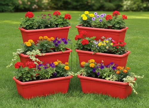 Image of Bianco Rectangular Plastic Pots for Plants, Jupiter Flower Pots for Home, Window Display, Garden (35 x 18.5 x 15 cm) (RED) (Pack of 6)