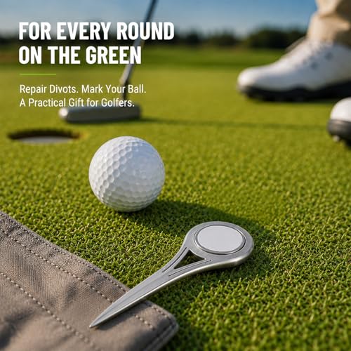 Lanties Single Prong Turf Fixer