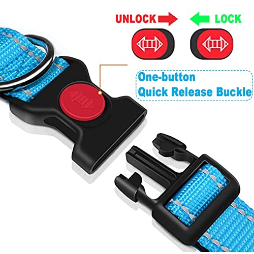 Dog Collar, Reflective Adjustable Basic Dog Collar with Soft Neoprene Padding, Durable Nylon Pet Collars for Puppy Medium Dogs - Image 4