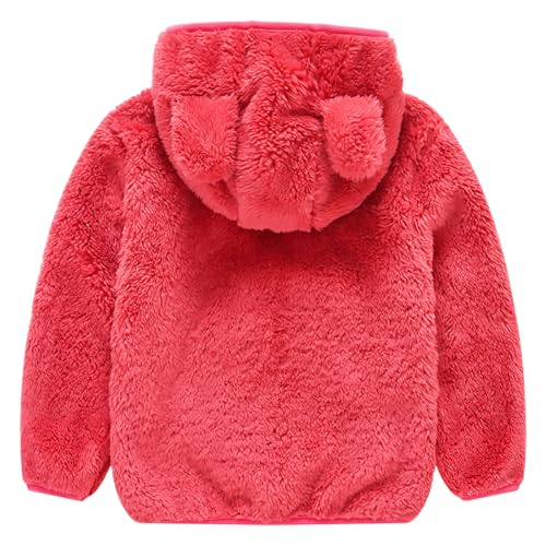 AIWUHE Toddler Boys Girls Hooded Fleece Jacket Cute Bear Hoodie Zip Up Teddy Coat Sherpa Winter Warm Outwear With Pocket 1-6Y2