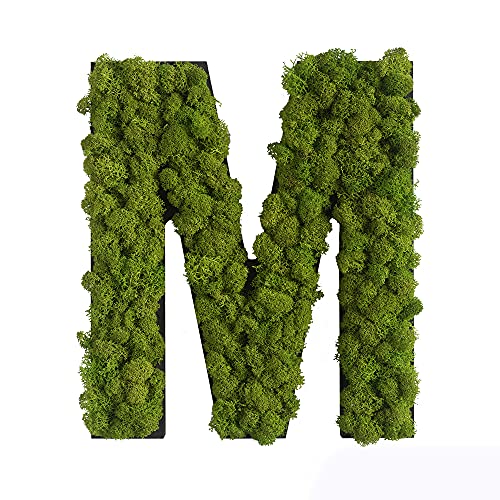 Moosbild Stylegreen Piktogramm Buchstabe M aus Islandmoos