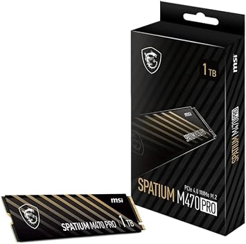 MSI SPATIUM M470 Pro PCIe 4.0 NVMe M.2 1TB Internal SSD HD4857