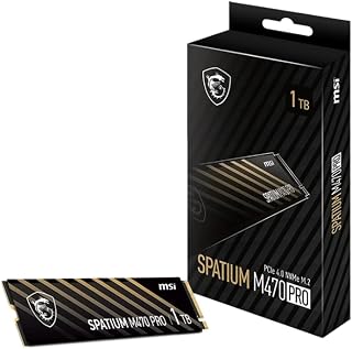 MSI SPATIUM M470 PRO PCIe 4.0 NVMe M.2 1 TB tragbare SSD, 1 TB externes Solid-State-Laufwerk, Geschwindigkeiten bis zu 6000 MB/s, USB-C, zuverlässiger Speicher für Gaming, Studenten, Profis, Schwarz