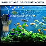 Forever Speed B0BNNMXF31 lato 4