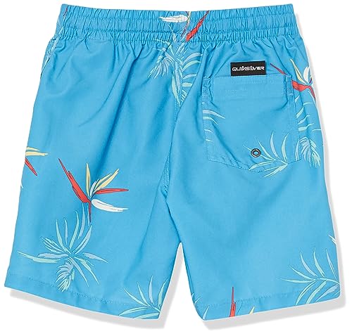 Quiksilver Boys Everyday Mix 12 Volley Boardshort Swim Trunk2