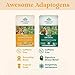 ORGANIC INDIA Calming Tulsi Ashwagandha Tea - Organic Tea Bags, Holy Basil Tea, Vegan, USDA Certified Organic, Non-GMO, Caffeine Free Tea - 18 Infusion Bags, 1 Pack
