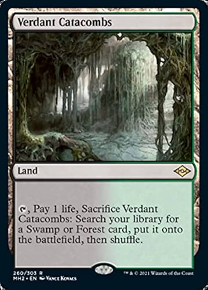 Amazon.com: Magic: the Gathering - Verdant Catacombs (260