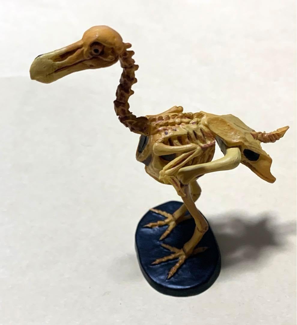 海洋堂 レッド・データ・アニマルズ ドードー(骨格バージョン) 当選品