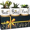 Boss planters boss lady gifts for women best boss gifts for women for bosses gift for boss women boss appreciation gifts for women best boss ever gifts gift for boss female  urban country home decor