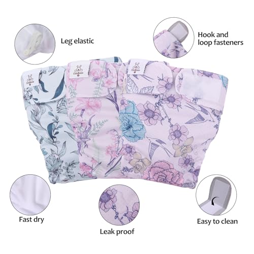 Image of CuteBone Washable Dog Diapers Female No Tail Hole 3 Pack Reusable Doggie Period Training Pants for Docked-Tail Frenchie French Bulldog Boston Terrier Without Tail WWD16S