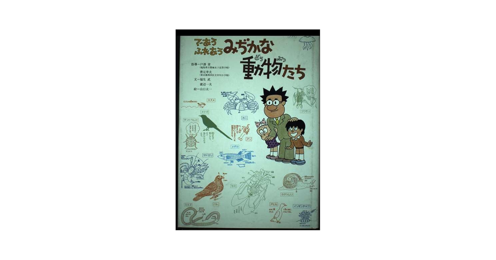 【中古】 であうふれあうみぢかな動物たち/筑摩書房/福生武 であうふれあうみぢかな動物たち | 福生 武, 渡辺 一夫, 山口