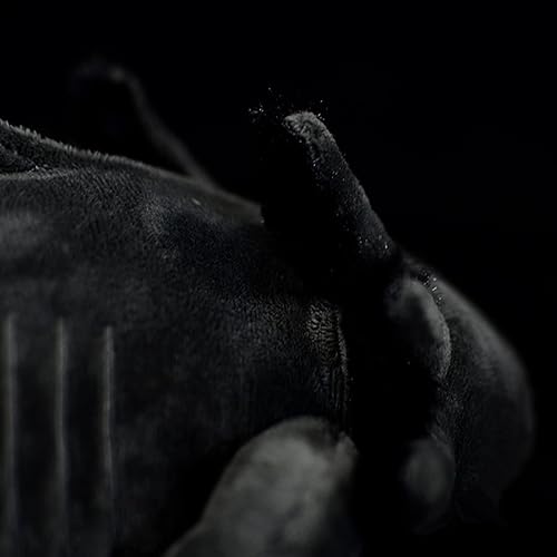 Miniatura 6 de ZHONGXIN MADE Axolotl - Peluche de ajolote gris, realista de 20 pulgadas, lindo Ambystoma espeluznante anfibios, colección de regalo de felpa única