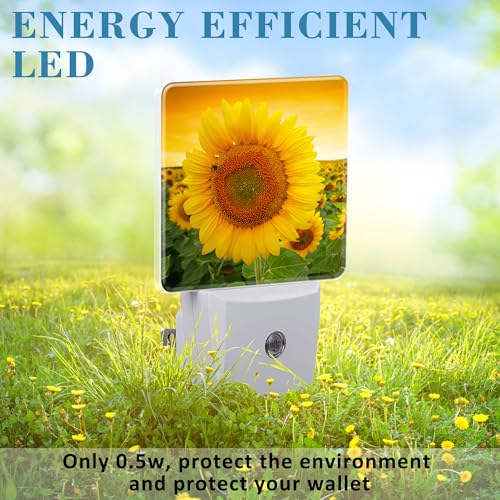 Image of Plug in Night Lights Sunset Sunflower Field Nightlight Plug Into Wall Dusk to Dawn Sensor LED Night Light for Kid Girls Boys Women Men Room Decor, Hallway, Kitchen, Bathroom, Nursery, Stairs