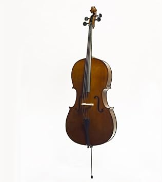 Stentor 1108 Cello, 3/4 Size