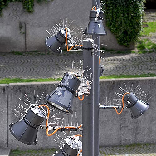 Afschrikmiddel voor duiven Vogel Spikes voor Duiven Anti Klim Muur Hek Vogels Controle Spikes Roestvrij Staal Anti-klimmen Spikes Gebruikt voor Daken Muren Repelling Vogels en Katten 25cm 2 Stuk - Image 3