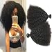 BODHI TREE Afro Kinkys Curly Hair Bundles Unprocessed Virgin Hair Kinky Curly Human Hair Afro Kinkys Bulk Human Hair for Black Women Natural Color(10 12 14)