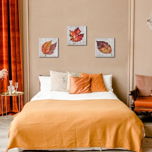 Fallpicturescanvaswallartautumnfallseasonalsetof3mapleleaveswalldecorforlivingroombedroomkitchendecorationfarmhousebathroomdecor12x12inches Urban Country Home Decor Fall pictures canvas wall art autumn fall seasonal set of 3 maple leaves wall decor for living room bedroom kitchen decoration farmhouse bathroom decor 12 x 12 inches urban country home decor