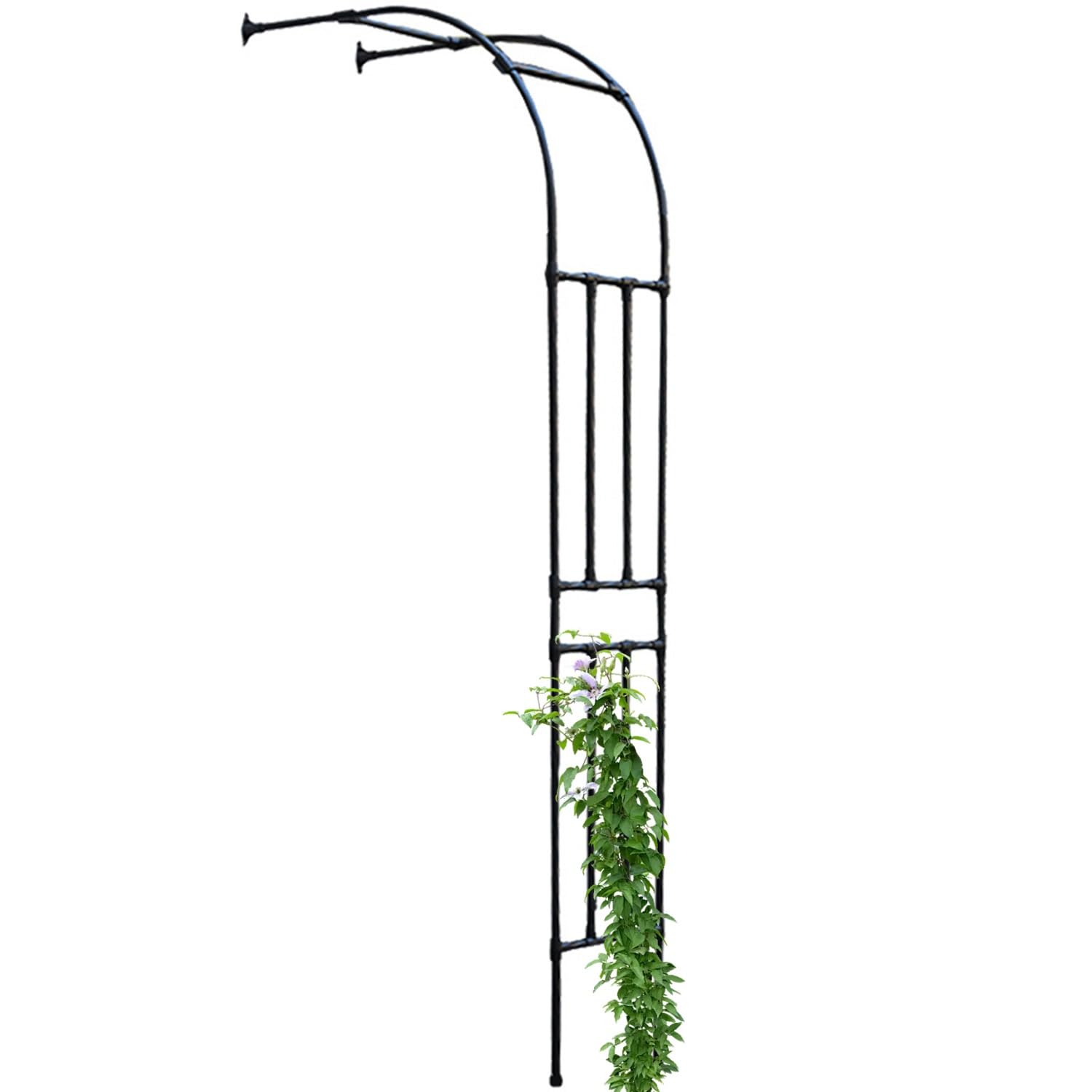 Arche de rosier avec treillis demi-face en acier tuteur de jardinage