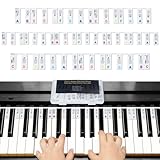 【Superbe Cadeau】Le clavier de piano est un outil pratique pour l'enseignement ou l'apprentissage du piano. Il est livré dans une boîte en plastique qui permet de le ranger et de le transporter facilement. Vous pouvez envoyer des guides de notes de clavier de piano aux enfants et autres débutants en piano comme cadeau d'anniversaire ou de festival.