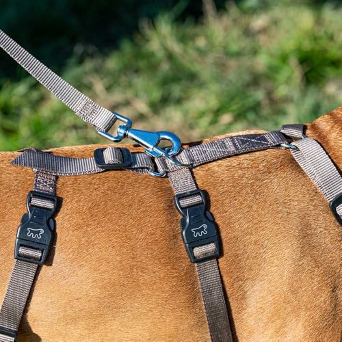 Ferplast Hundegeschirr Mittelgroße Hunde Brave MEDIUM, Ausbruchsicheres Hundegeschirr, Greyhound, Verstellbares Geschirr für Hunde, 6 Verschlüsse, Braun