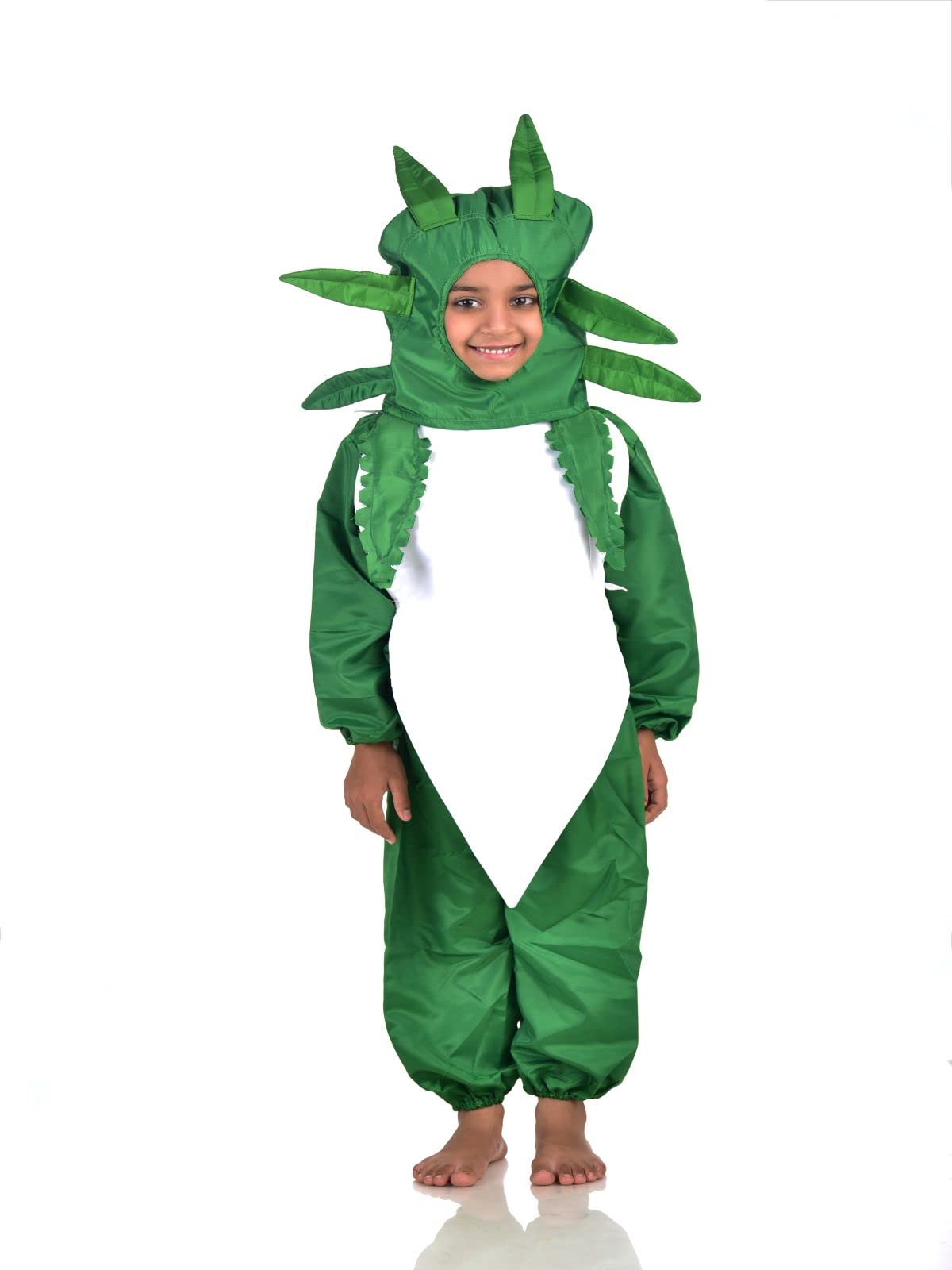 BookMyCostume Radish Mooli Vegetable Kids Fancy Dress Costume 7-8 years (B08KT8NJ1J) Amazon Price History, Amazon Price Tracker