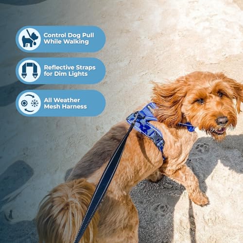 Image of Voyager Dog Harness Dual Leash Attachment No-Pull Control Adjustable Soft but Strong Pet Harness for Medium and Large Dogs with 3M Reflective Technology, Leash Set Royal Nylon, XS (Chest: 13-16 inch)