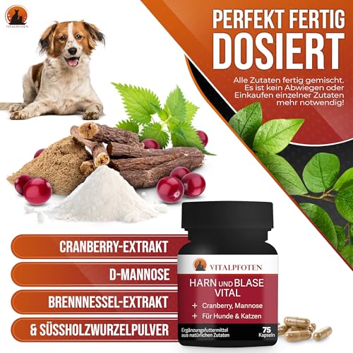 Vitalpfoten 3x75 Harn und Blase Vital Kapseln für Hunde & Katzen mit Cranberry, Mannose und Brennnessel, pflanzliche Hausmittel - Rezeptur für die Blase, Nieren und Harnwege