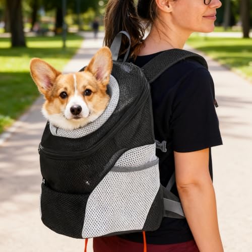 WIYETY Hundetragerucksack Verstellbarer Haustier Rucksack: Faltbar Hundetrage-Rucksack Welpentasche, Atmungsaktiv, Hunderucksack Haustier Rucksack Kleine Hunde für Outdoor Aktivitäten, Schwarz