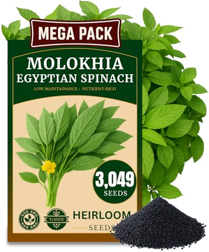 3000+ USA Premium Egyptian Spinach Seeds (Molokhia) Non-GMO Seeds Fast-Growing Low Maintainance Nutrient-Rich & High-Yield Heirloom Seeds