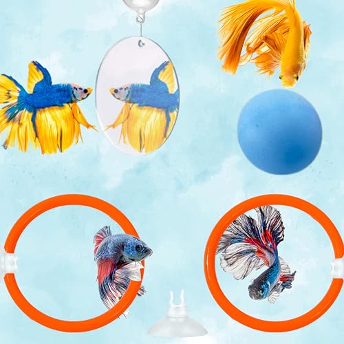Image of Betta Mirror Enrichment Fish Toys Stimulation, 2 pcs Exercise Feeding Rings And Training Mirror With Floating Ball Toy, Betta Fish Tank Accessories, Small Aquarium Tank Decoration (Orange, M)